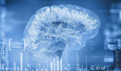 美国高防服务器如何防御DDoS攻击