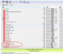 美国虚拟主机配置安装SSL教程详解