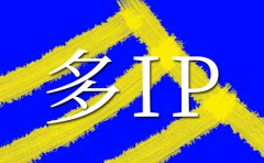 服务器租用|美国多ip站群如何选择以及能做什