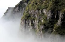 全方位解读：美国、香港、日本、韩国、东南亚等主流海外云服务器与VPS选型指南
