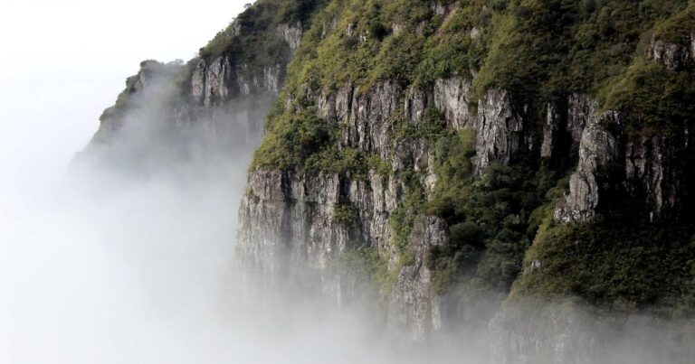 全球视野，灵活部署：十大地域云服务器深度解析与海外服务器选购指南