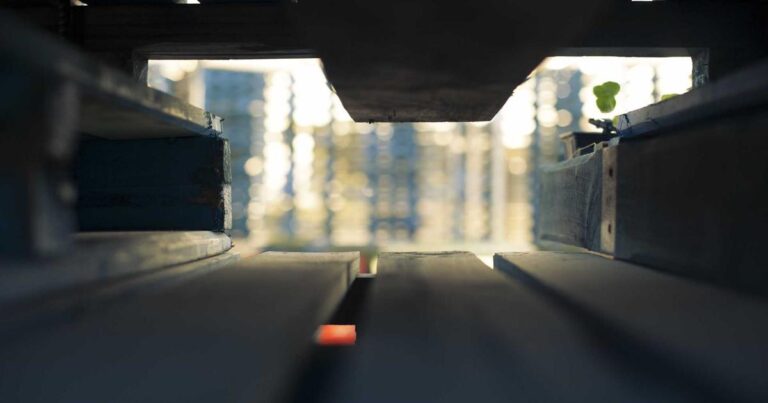 美国服务器租用指南：为外贸建站与站群提供低延迟、多IP的高效解决方案